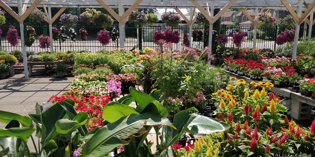 Mississauga Greenhouses Ltd. | 3225 Winston Churchill Blvd, Mississauga, ON L5L 2W1, Canada | Phone: (905) 820-9789
