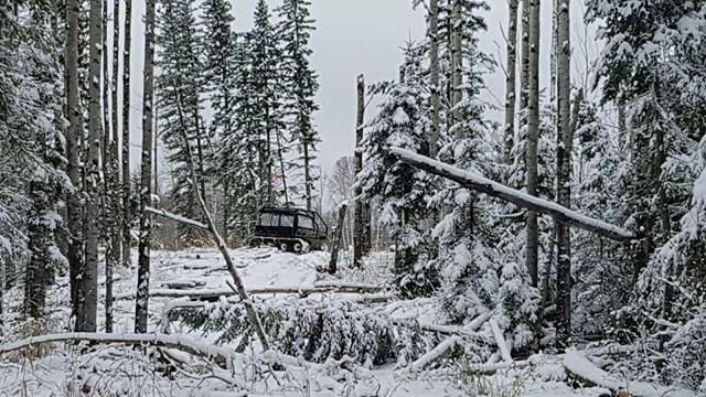 Northern Commercial Offroad Rentals | 110, 52442, Range Rd 220, Ardrossan, AB T8E 2H7, Canada | Phone: (780) 504-8274