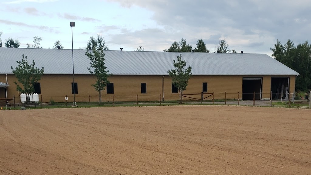 Centre équestre la Clé des Champs | 848 Chem. Terrebonne, Saint-Jean-Chrysostome, QC G6Z 2K9, Canada | Phone: (418) 575-0826