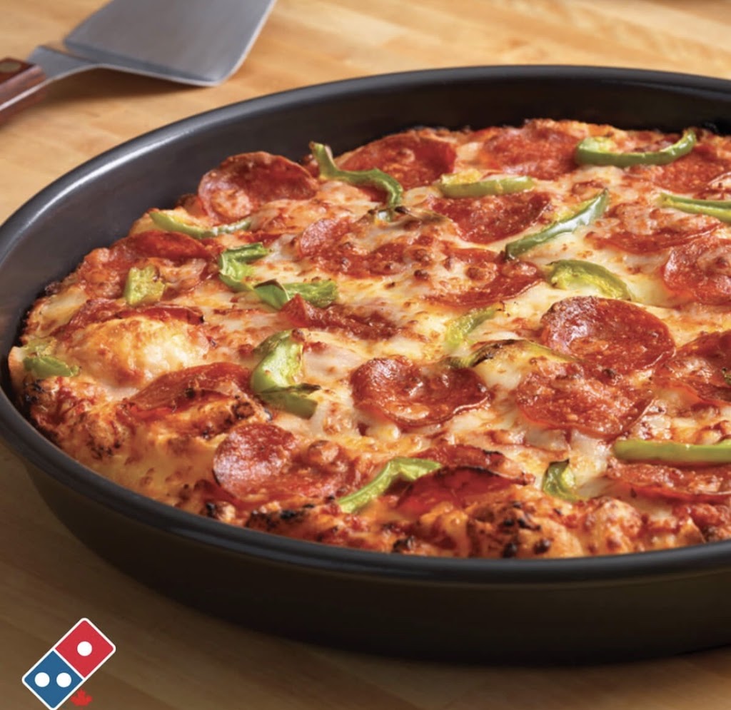 Dominos | 13722 113A Street, Edmonton, AB T5X 4H7, Canada | Phone: (780) 496-9212