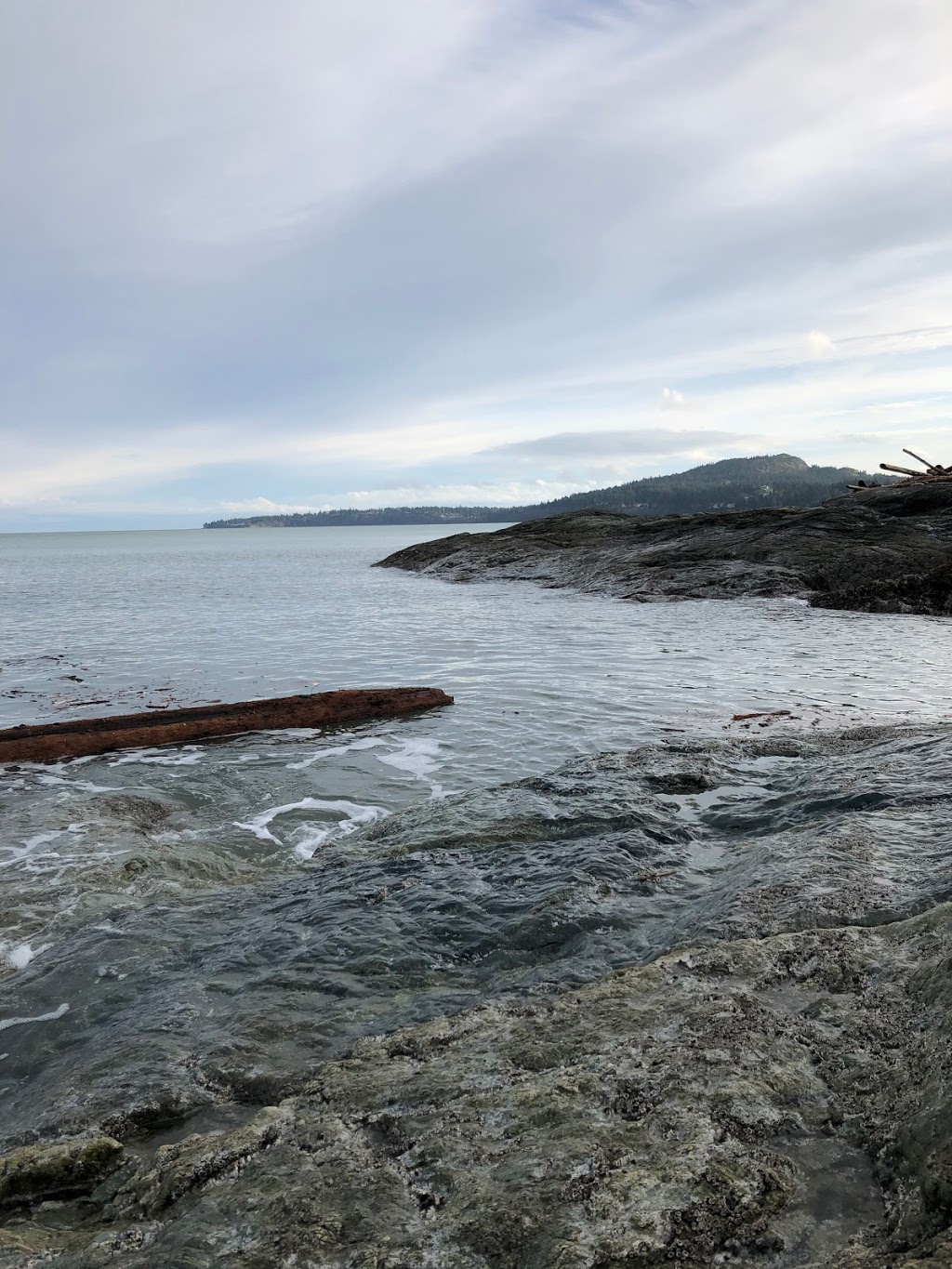 Agate Park | 2M1, 5179 Agate Ln, Victoria, BC V8Y 2M1, Canada