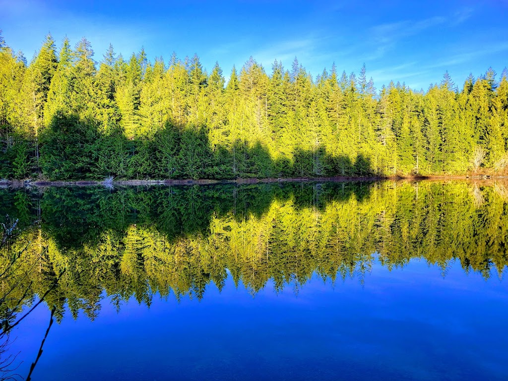 Affirmations Massage Therapy | 3333 Third St, Cumberland, BC V0R 1S0, Canada | Phone: (250) 218-6643