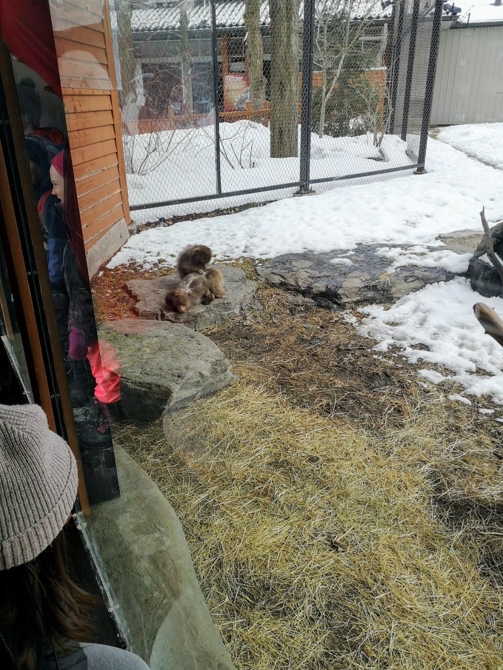 Parc Isabelle | Rue Court, Granby, QC J2G, Canada | Phone: (450) 776-8282