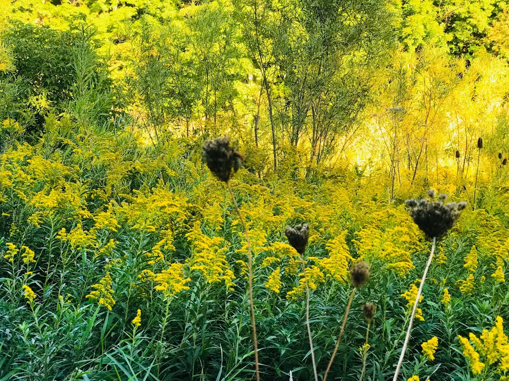 Old Mill Parkette | Oakville, ON L6J, Canada