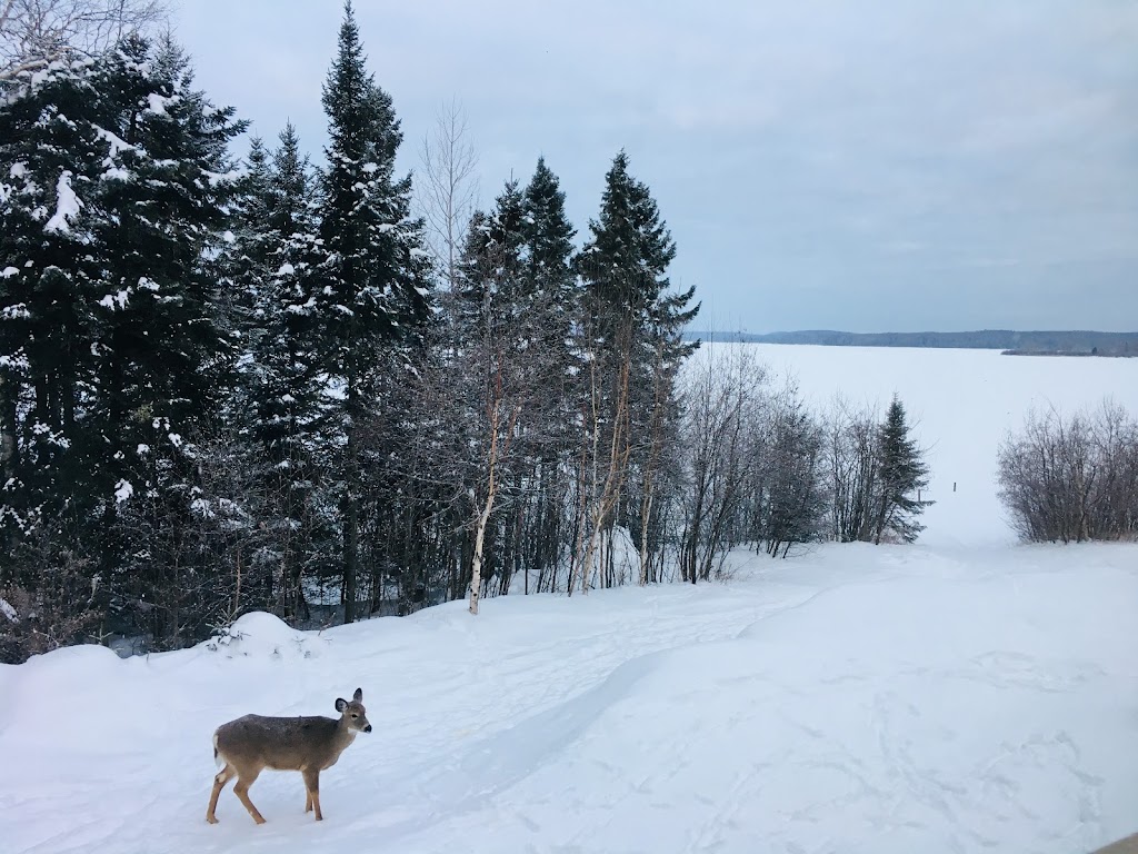 Aventures El Toro | Saint-Michel-des-Saints, QC J0K 3B0, Canada | Phone: (450) 547-8978