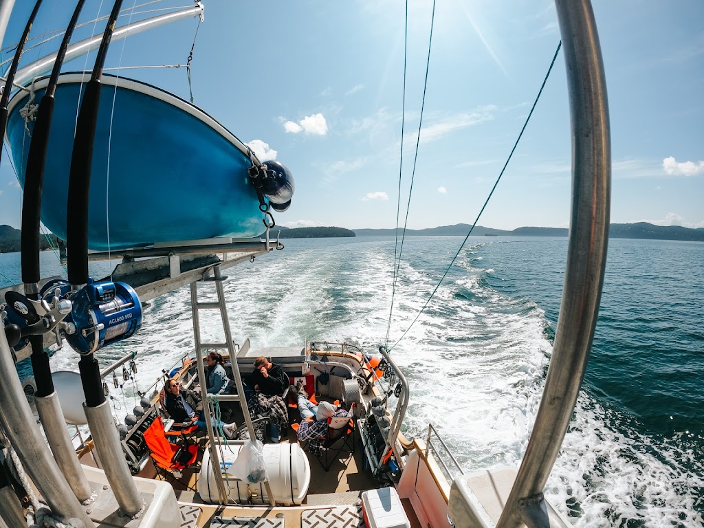 Club SeaKing Adventures / Fishing & Wildlife Tours | 10441 Resthaven Dr, Sidney, BC V8L 3H6, Canada | Phone: (250) 920-6531