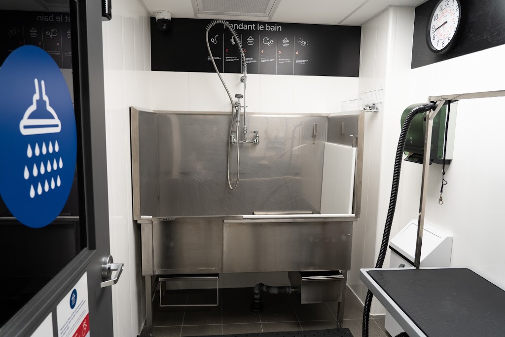 Mondou | 1092 Rue Desserte O, Laval, QC H7X 4C9, Canada | Phone: (450) 314-1097