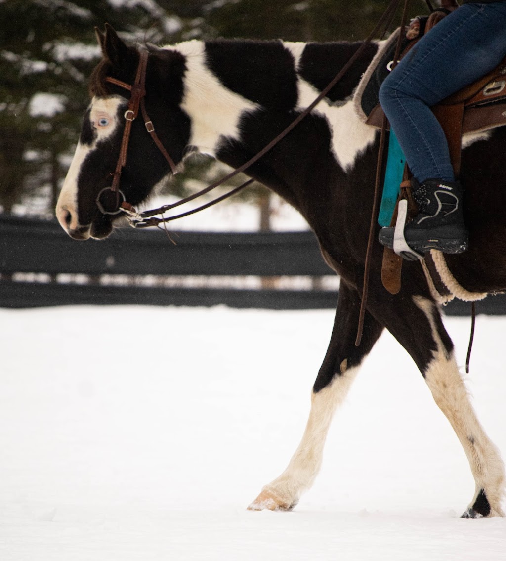 Equestrian Center Deserto | 117 Chem. Baskatong, La Vallée-de-la-Gatineau, QC J0W 1E0, Canada | Phone: (819) 660-9039