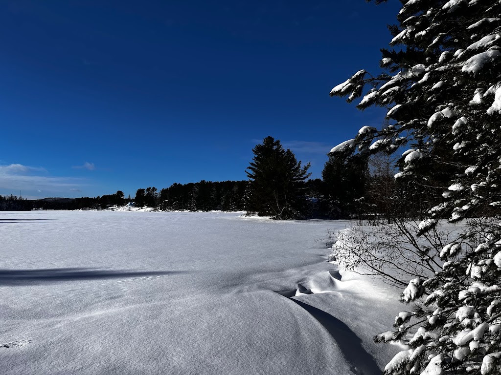 Chalet locatif Blue Sea CITQ #310482 | 501 Rue Centrale, Saint-Alexis-des-Monts, QC J0K 1V0, Canada | Phone: (514) 278-3731