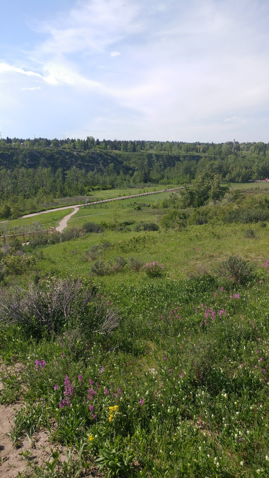 Brittania Slopes | 4616 Britannia Dr SW, Calgary, AB T2S 1J6, Canada