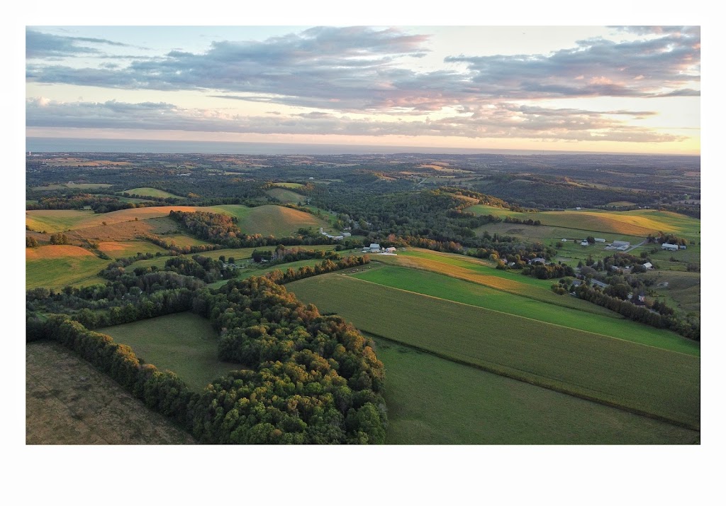 Evermeadow Farm | 3989 McIntosh St, Cobourg, ON K9A 4J9, Canada | Phone: (905) 269-3765