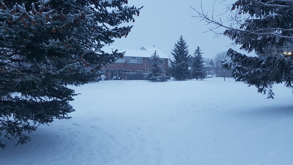 Ashton Meadows Park | 202 Calvert Rd, Markham, ON L6C 1T5, Canada