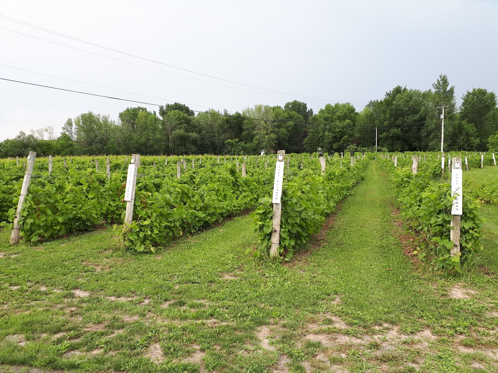 Le Mas des Patriotes | 1076 Chemin des Patriotes O, Saint-Jean-sur-Richelieu, QC J2Y 1H4, Canada | Phone: (514) 608-4891