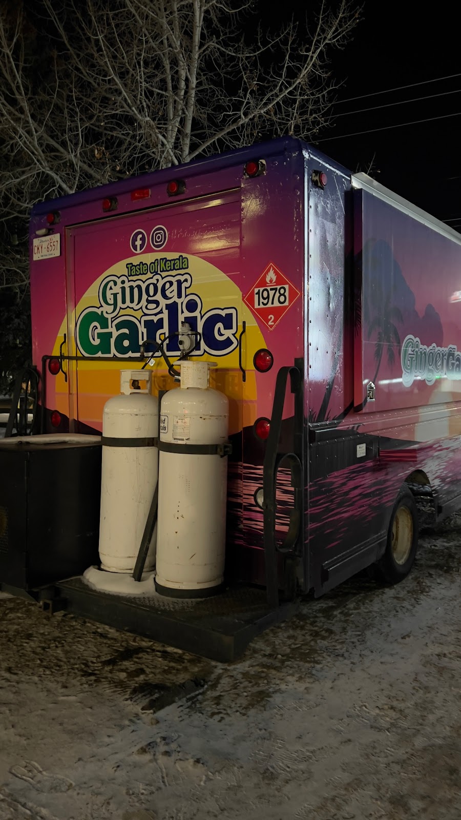 Ginger Garlic South Indian Restaurant | 2115 27 Ave NE, Calgary, AB T2E 7E4, Canada | Phone: (825) 733-6633