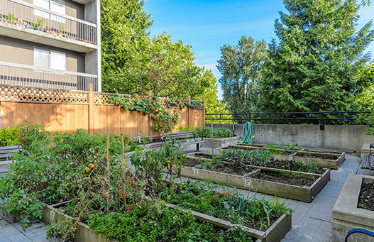 Surrey Village | 9835 King George Blvd, Surrey, BC V3T 5H6, Canada | Phone: (604) 496-0836