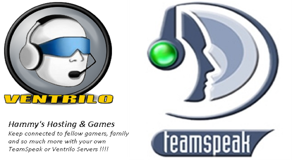 Hammys Hosting | 14 Bolton St, Moncton, NB E1E 4H2, Canada | Phone: (506) 851-9315