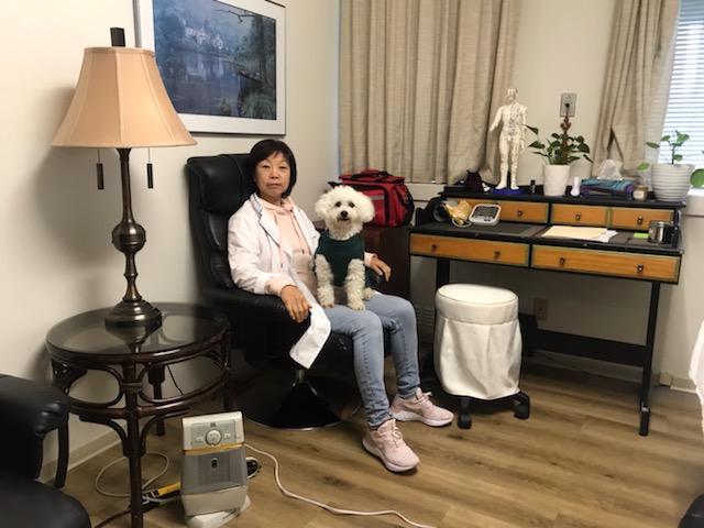 Debbie Bing TCM Clinic Oakmont Medical Center | 809 W 41st Ave Unit# 225, Vancouver, BC V5Z 2N6, Canada | Phone: (604) 366-3560