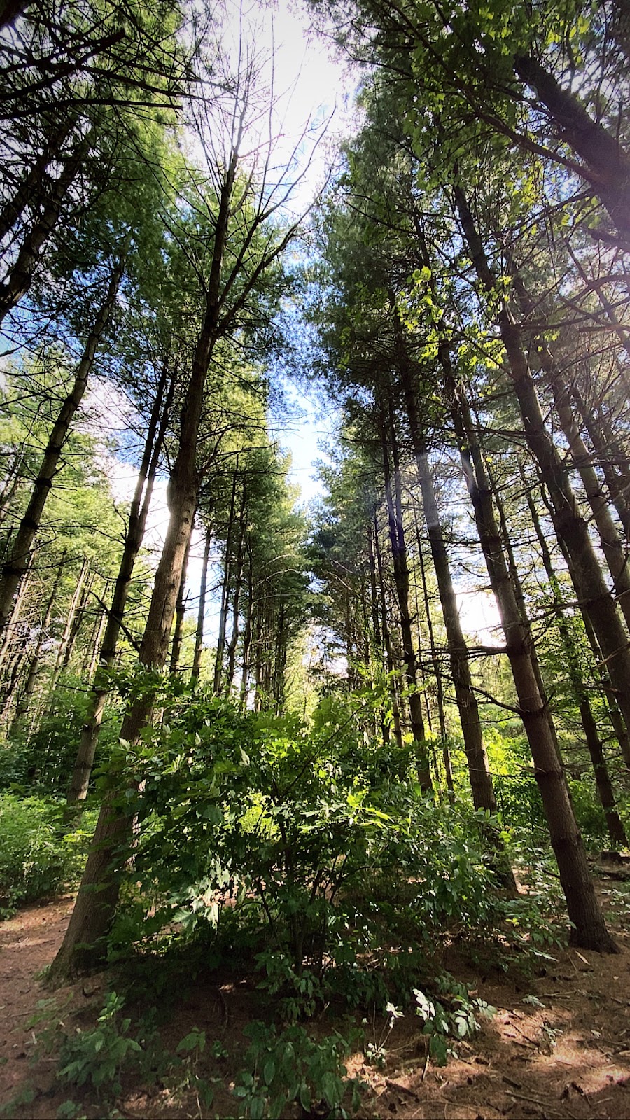 Christie Lake Conservation Area | 1000 ON-5, Dundas, ON L9H 5E2, Canada | Phone: (905) 628-3066