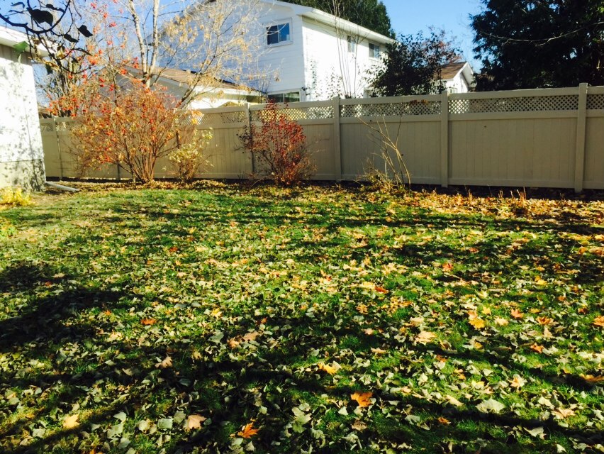 Amco Fencing and Decks Inc. | 155 Reis Rd, Carp, ON K0A 1L0, Canada | Phone: (613) 461-2626