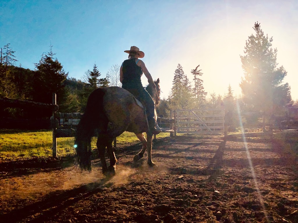 Maple Heart Ranch - Homestead | 1890 Sooke Lake Rd, Shawnigan Lake, BC V0R 2W3, Canada | Phone: (250) 806-0024