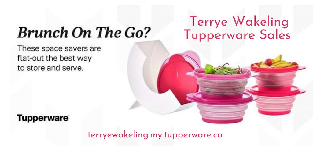 Tupperware By Terrye | 48229 RR 64, Buck Creek, AB T7A 1S1, Canada | Phone: (780) 340-2104