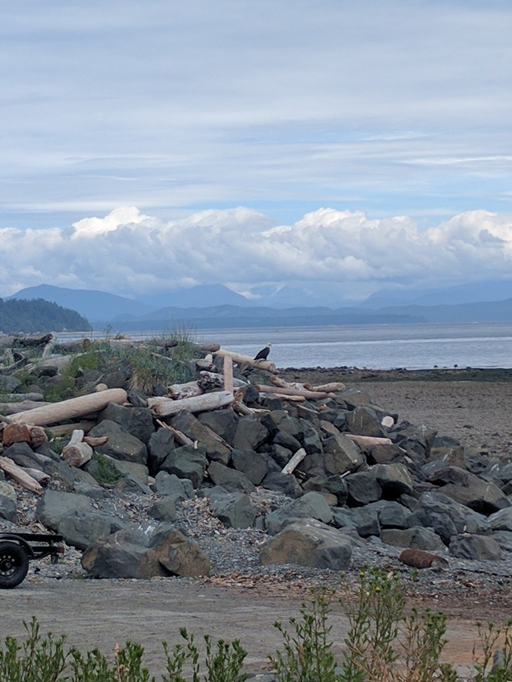 Shell | 2574 S Island Hwy, Campbell River, BC V9W 1C6, Canada | Phone: (250) 923-4612