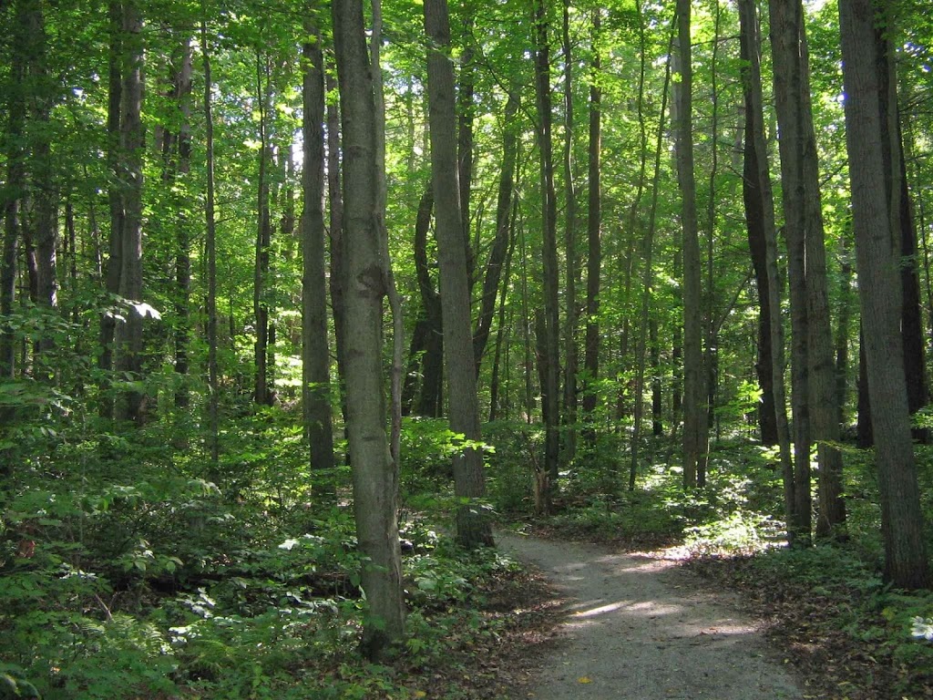 Springwater Conservation Area | 8079 Springwater Rd, Aylmer, ON N5H 2R4, Canada | Phone: (519) 773-9037