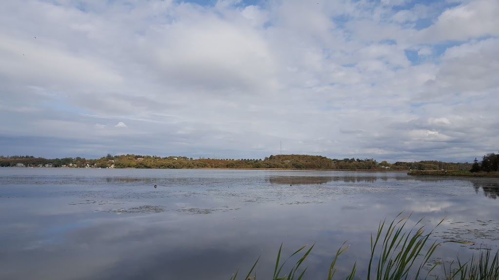 Palmer Park | 175 Water St, Port Perry, ON L0C 1B0, Canada | Phone: (877) 820-3595
