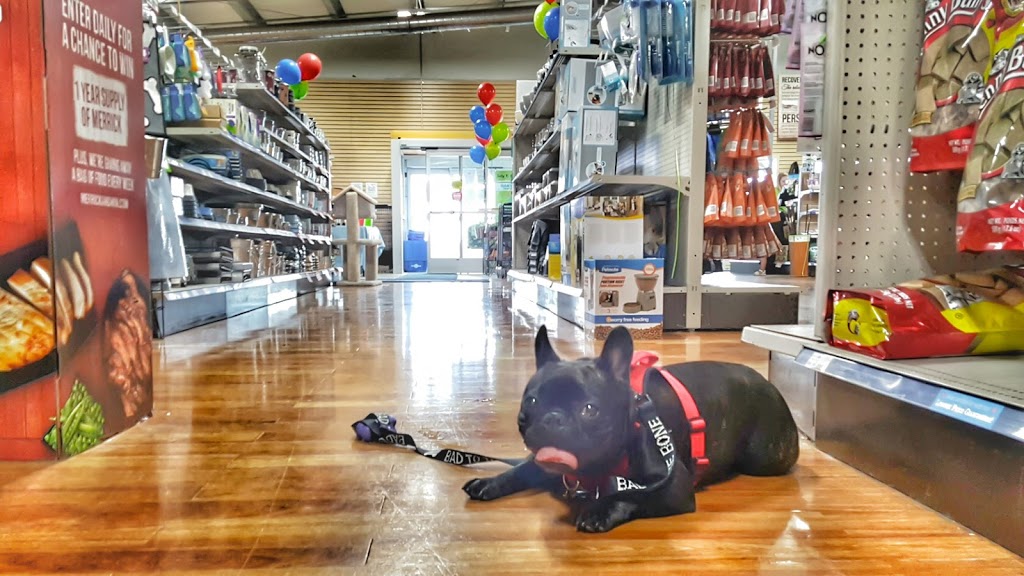 Rens Pets Oakville | 4002 Trafalgar Rd, Oakville, ON L6H 7B7, Canada | Phone: (905) 257-4611