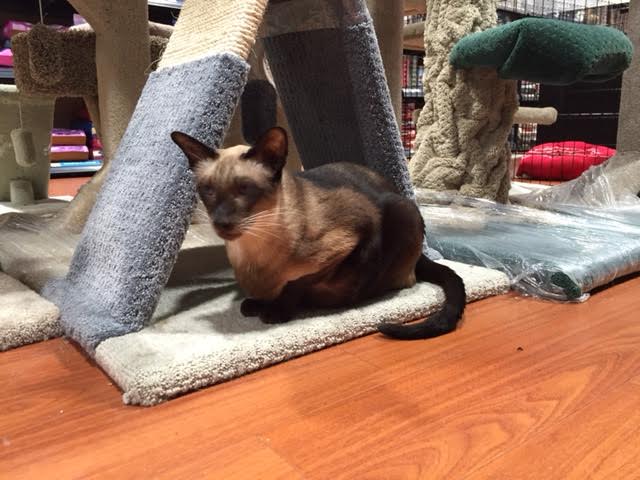 Bosleys by Pet Valu | 2362 Whatcom Road, Abbotsford, BC V3G 2L5, Canada | Phone: (604) 859-9056