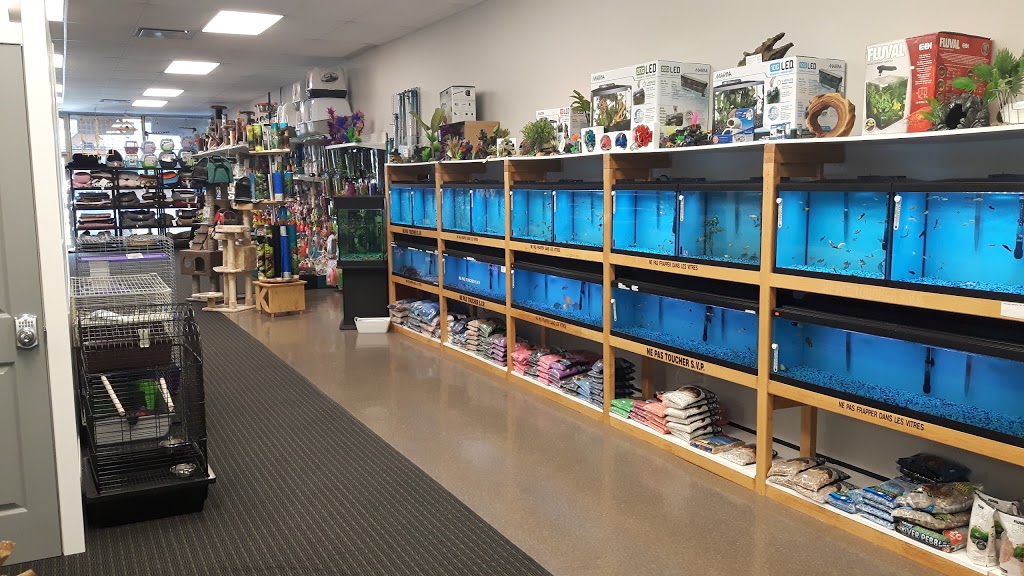 Pet Kangaroo Rec | 348 Rue Beaudry N, Joliette, QC J6E 6A6, Canada | Phone: (450) 752-5019