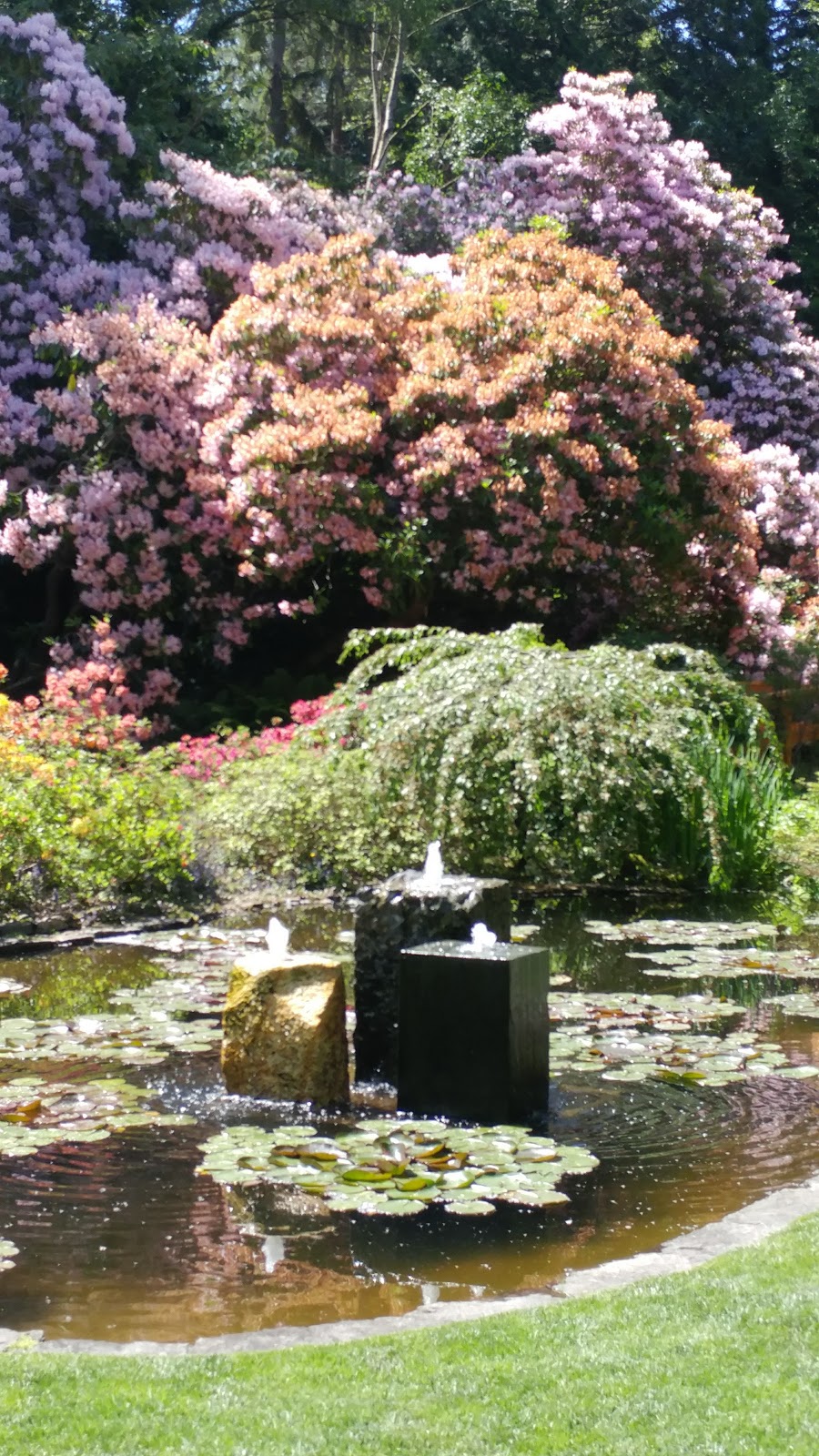 Glades Gardens | 561 172 St, Surrey, BC V3S 9R3, Canada | Phone: (604) 501-5050