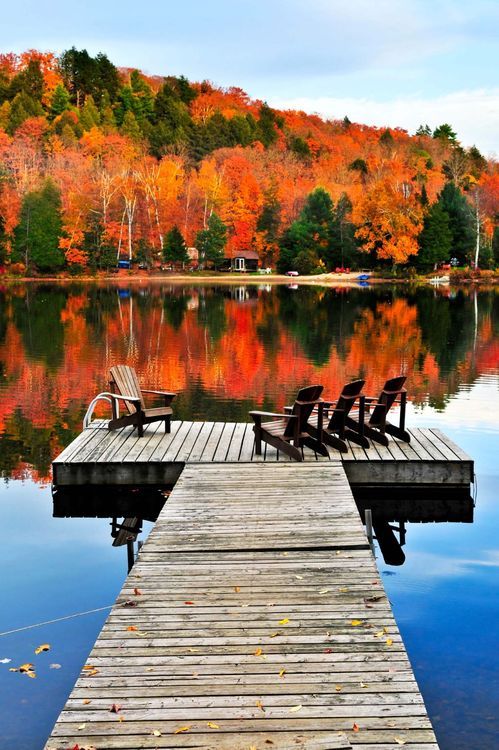 Clear Water Property Management | 1027 Juddhaven Rd, Minett, ON P0B 1G0, Canada | Phone: (705) 999-9162