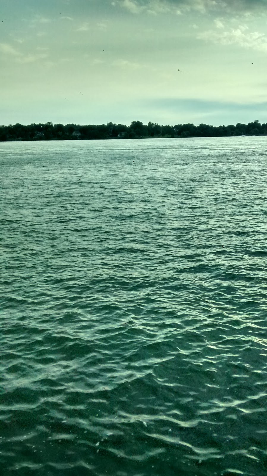 Tow Path Park | Hertel Ave, Buffalo, NY 14207, USA | Phone: (716) 858-8355