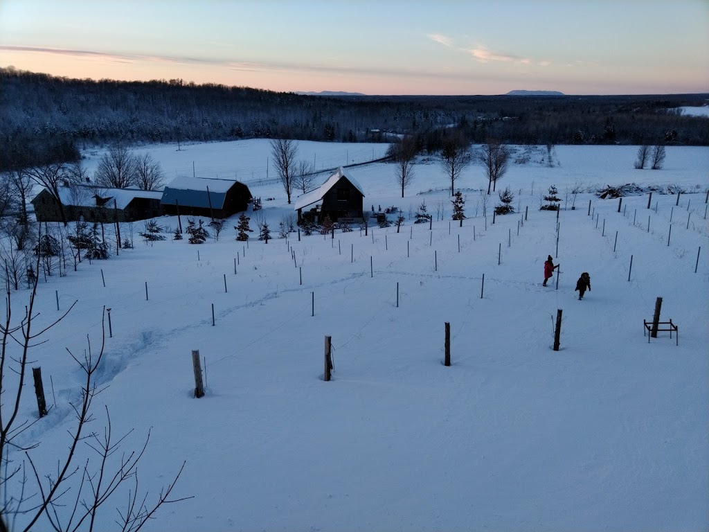 Érablière Hilltop | 4329 Chemin Symington, Dunham, QC J0E 1M0, Canada | Phone: (450) 295-2270