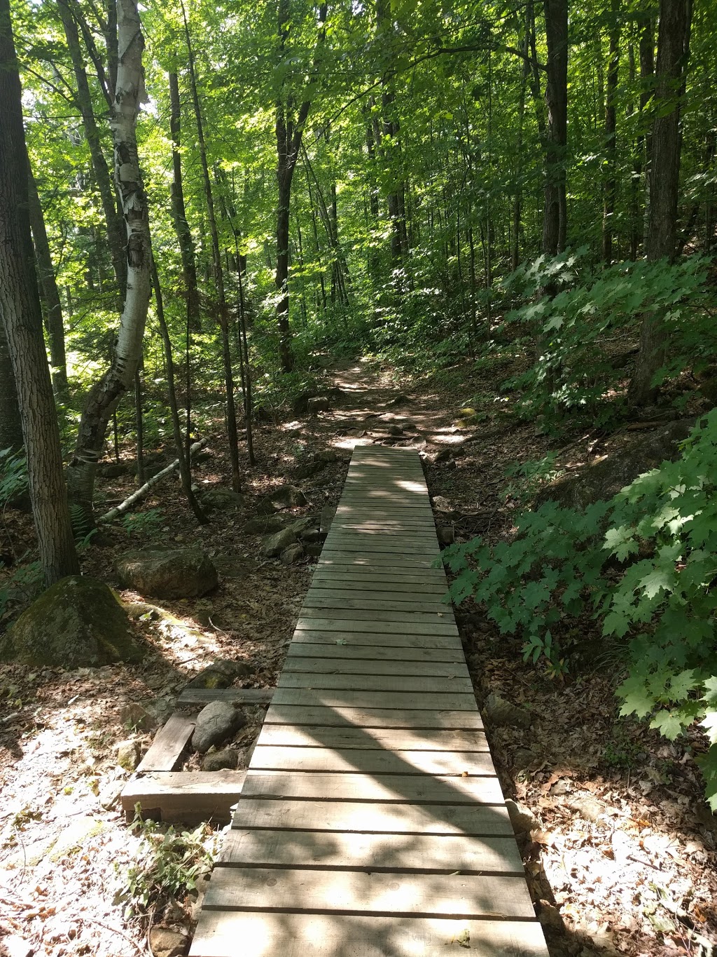 Alfred Kelly Nature Reserve | 1272 Rue de la Traverse, Prévost, QC J0R 1T0, Canada