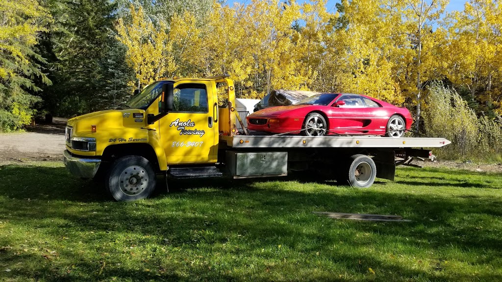 Anola Towing | 59033 Pleasant Rd 38E, Anola, MB R0E 0A0, Canada | Phone: (204) 866-3407