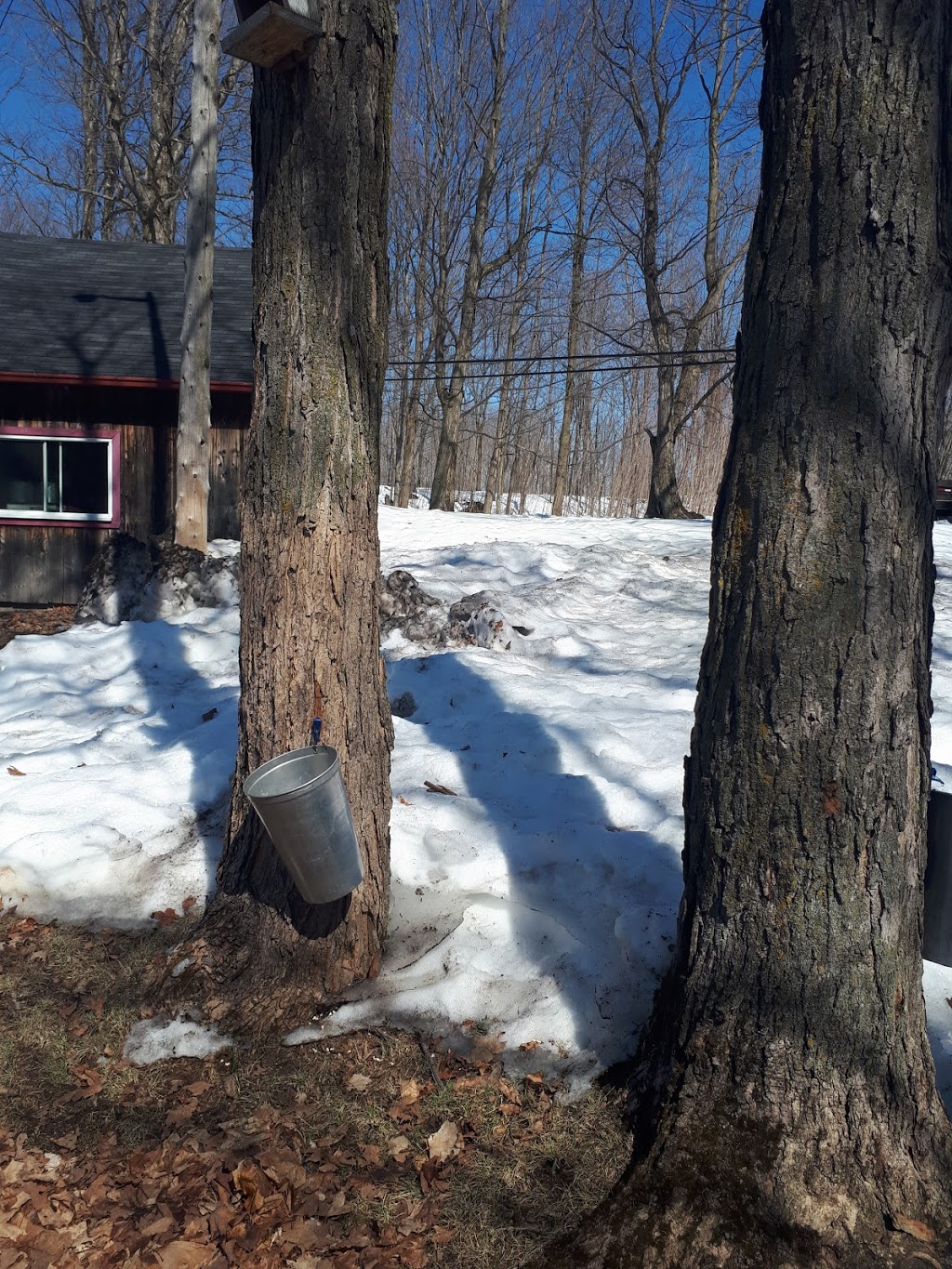 Erabliere Landry | 342 Chemin des Érables E, Cap-Saint-Ignace, QC G0R 1H0, Canada | Phone: (418) 246-5618