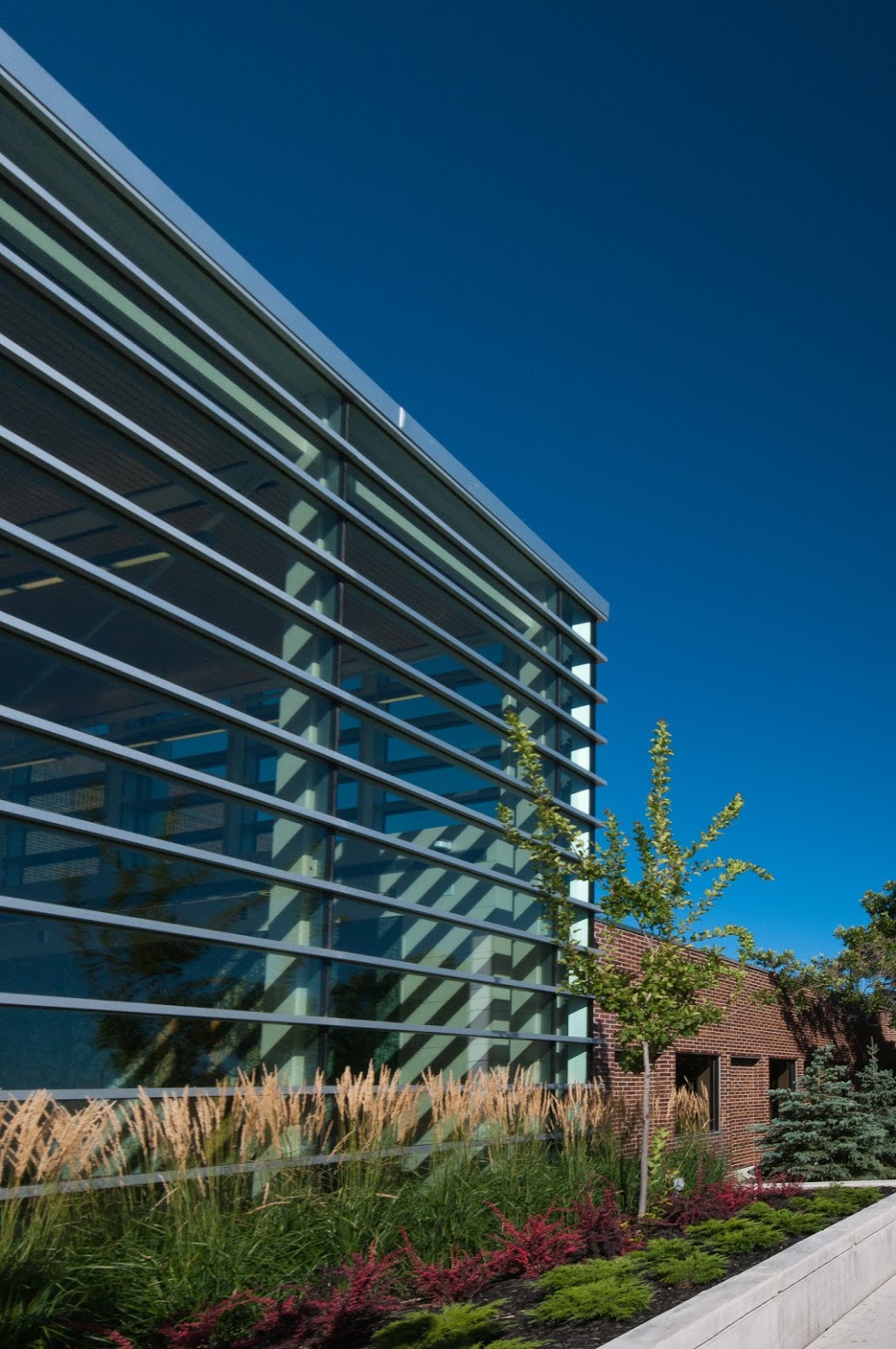 Seven Oaks General Hospital | 2300 McPhillips St, Winnipeg, MB R2V 3M3, Canada | Phone: (204) 632-7133