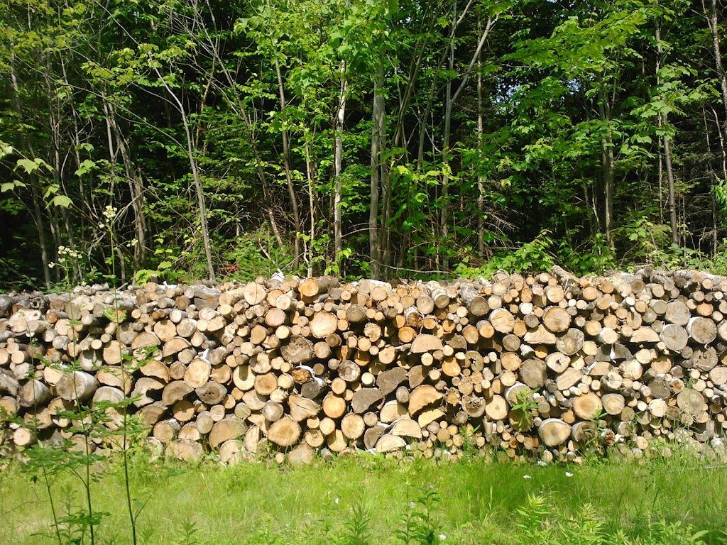 Technicien forestier | 746 a Bd du Havre, Salaberry-de-Valleyfield, QC J6S 1W3, Canada | Phone: (514) 703-8130