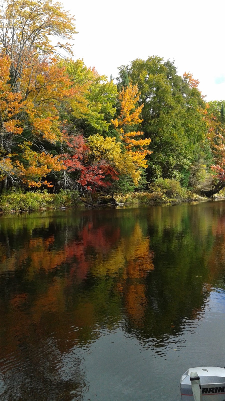Katrine Marine | 86 Doe Lake Rd, Katrine, ON P0A 1L0, Canada | Phone: (705) 382-3806