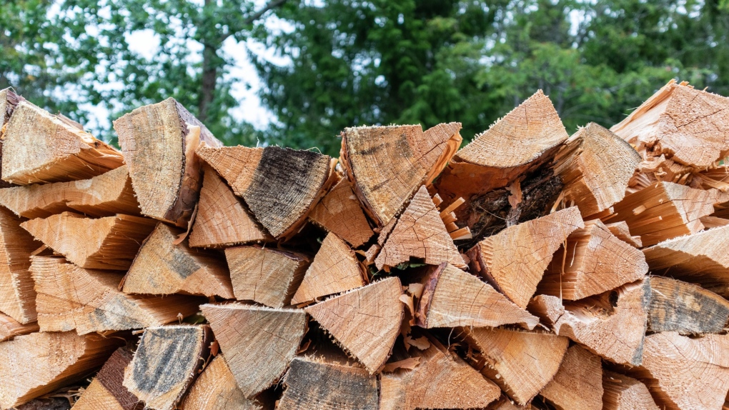 Firewood Sales - Brads Tree Service | 5413 County Rd 90, Utopia, ON L0M 1T2, Canada | Phone: (705) 607-2684