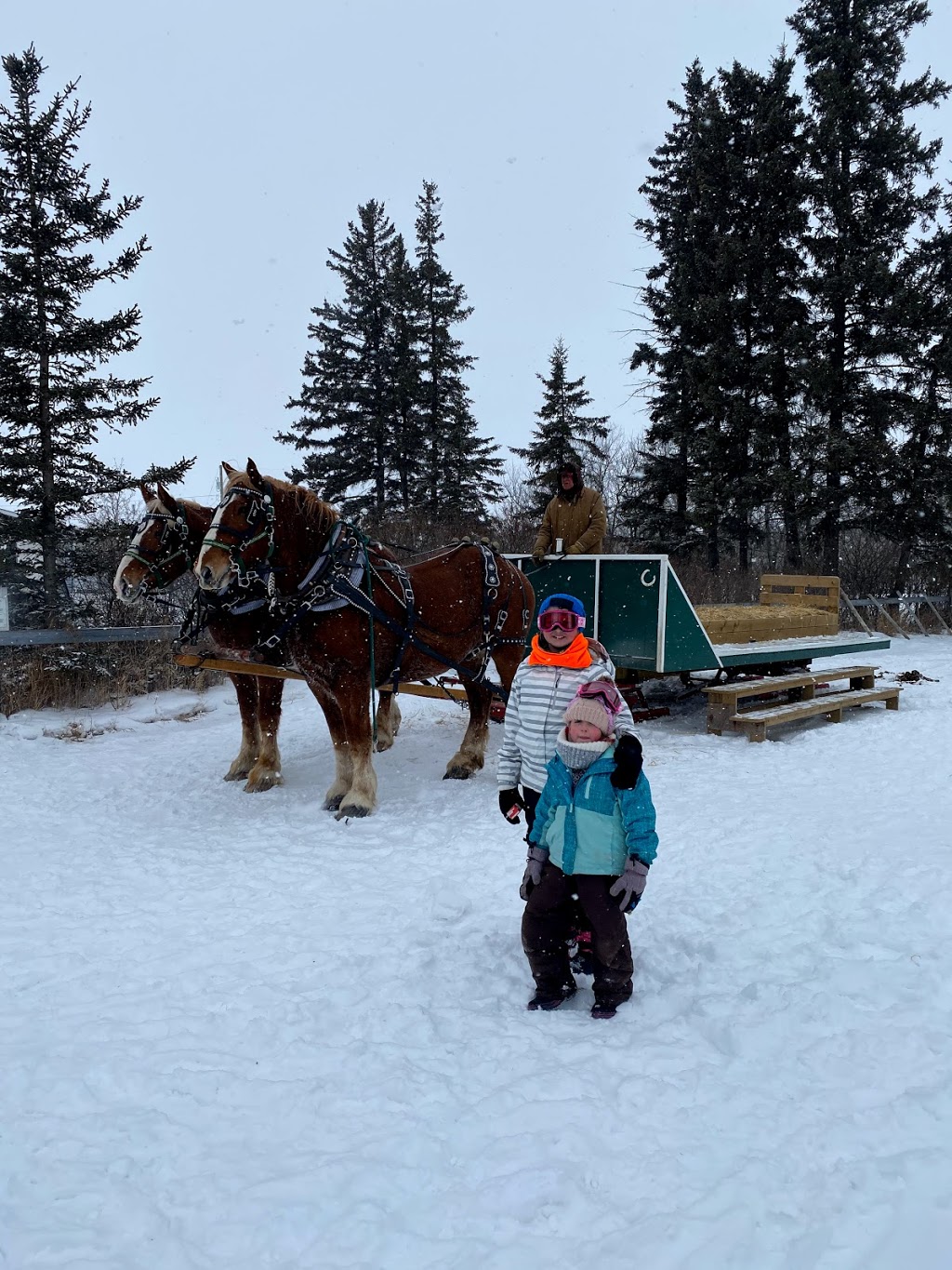Dick Laurin’s Hay and Sleigh Rides | 530048 Range Rd 183, Edmonton, AB T6P 1V3, Canada | Phone: (780) 464-0234
