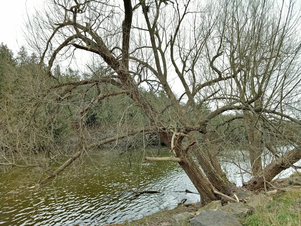 Elora Lions Park | Wellington Rd 7, Centre Wellington, ON N0B, Canada