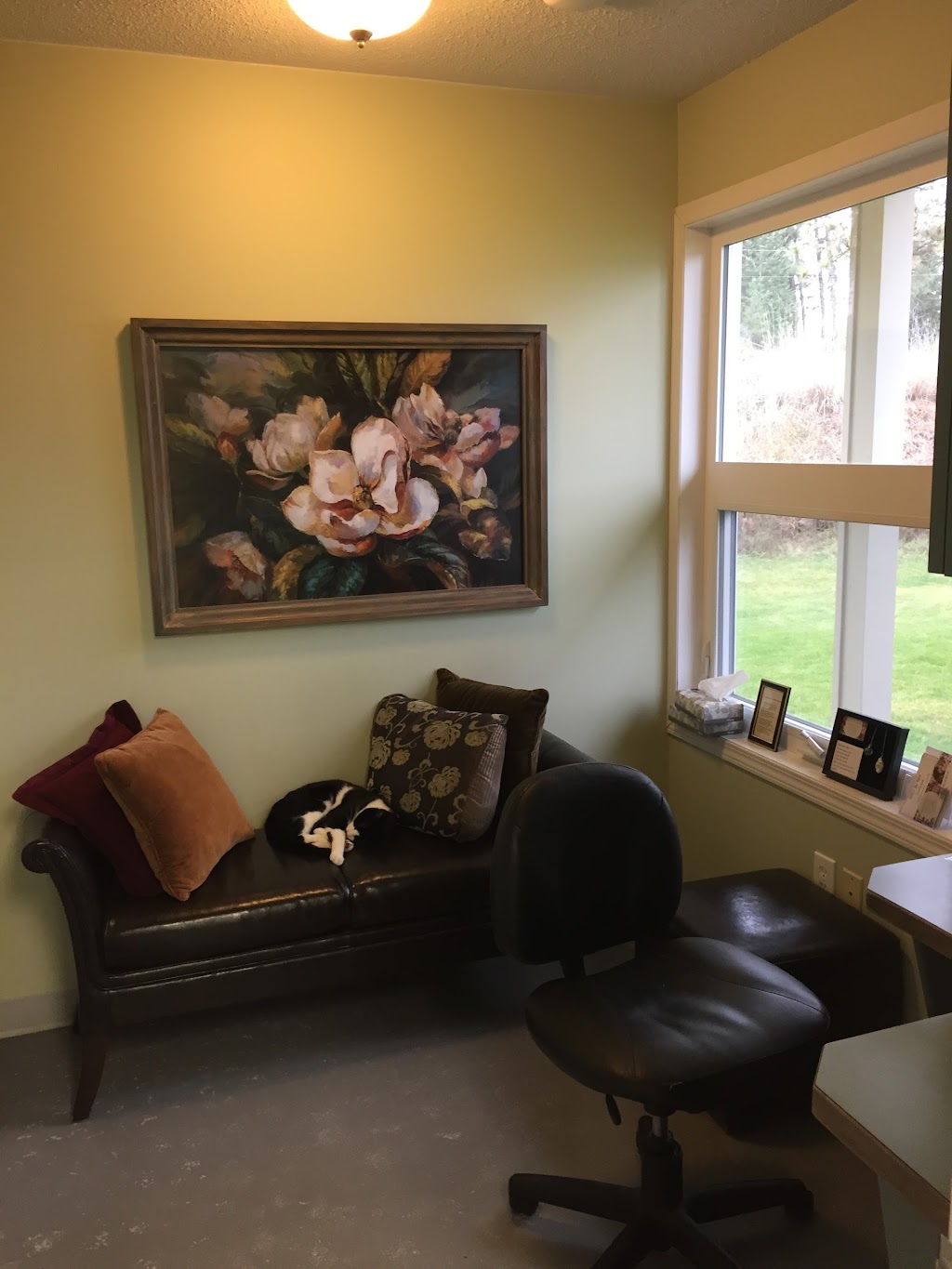 Steeples Veterinary Clinic | 3410 Victor Rd, Cranbrook, BC V1C 7B7, Canada | Phone: (250) 489-3451