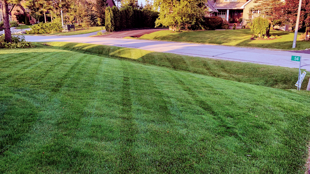 A1 Lawncare | Fairway Ct, Shanty Bay, ON L0L 2L0, Canada | Phone: (905) 353-5296