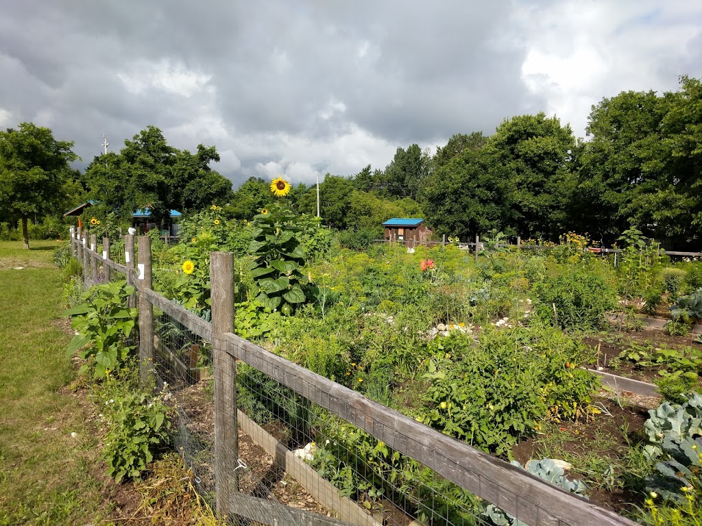 Guelph Street Community Garden | 250 Guelph St, Kitchener, ON N2H, Canada | Phone: (289) 928-7533