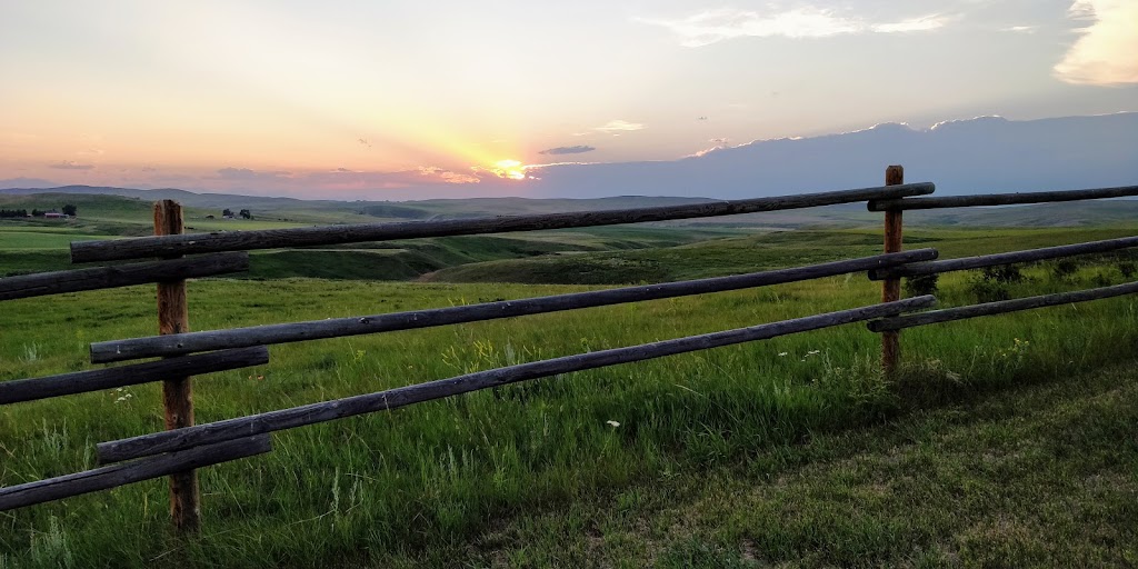 Crooked Creek Ranch | Range Rd 260A, Aetna, AB T0K 1Y0, Canada | Phone: (403) 448-0081