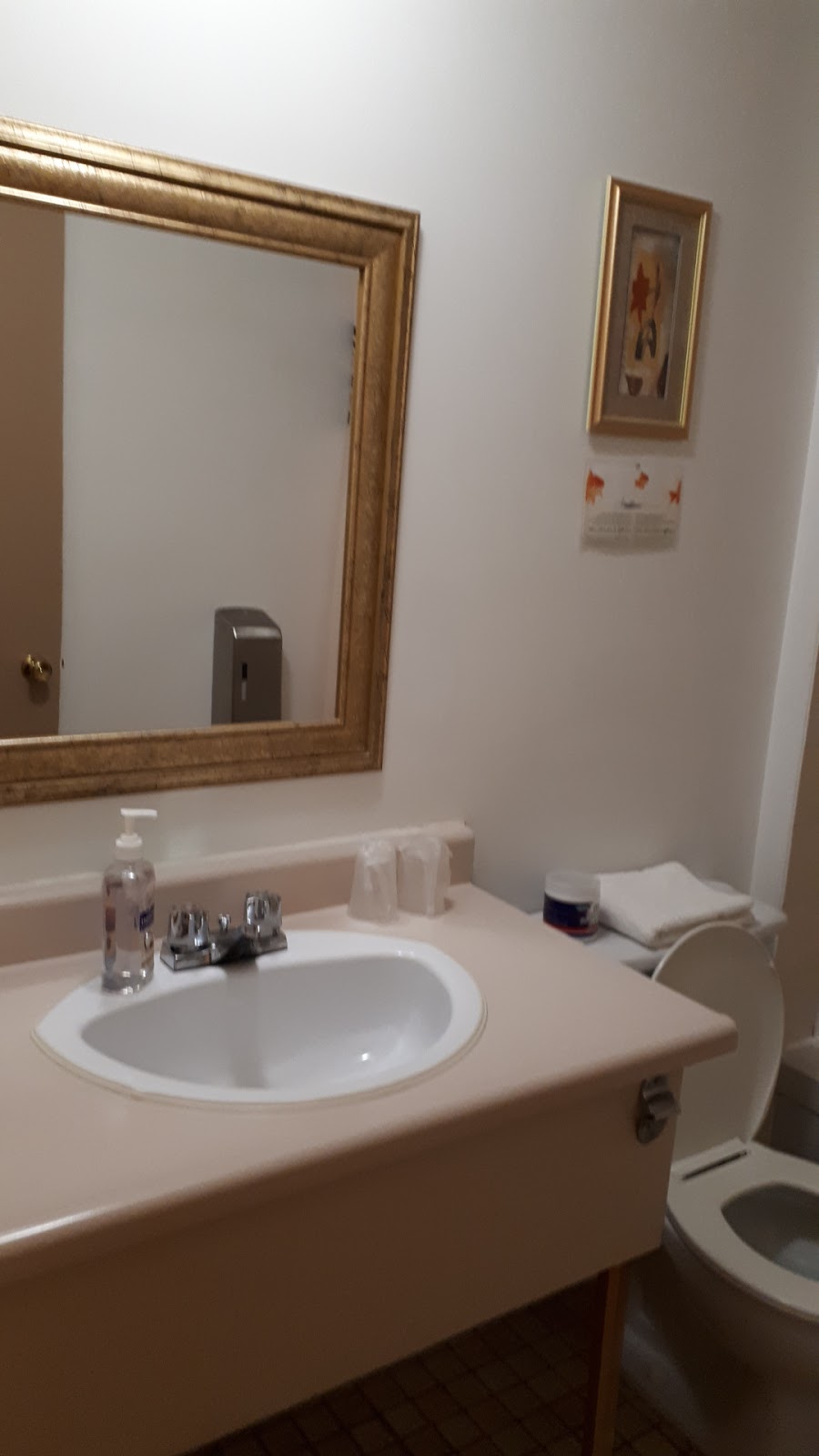 Motel Rayalco Inc | 104 Rue Olivier, Laurier-Station, QC G0S 1N0, Canada | Phone: (418) 728-4282