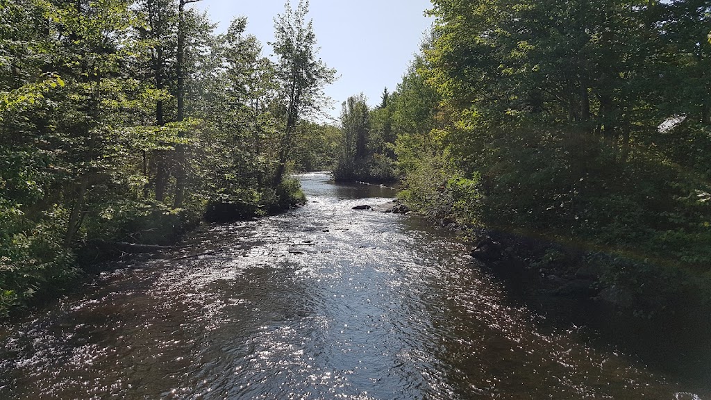 Camp musical St-Alexandre | 267 Rang St Gérard E, Saint-Alexandre-de-Kamouraska, QC G0L 2G0, Canada | Phone: (418) 495-2898